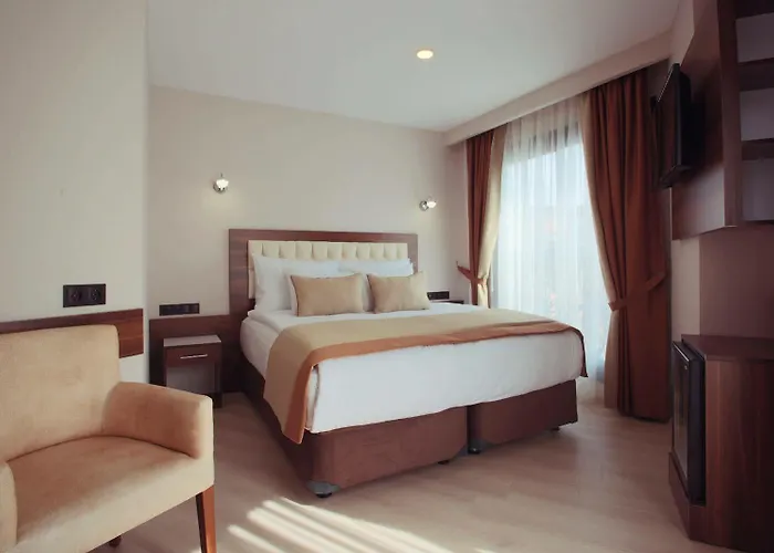 Paris Prestige Otel 3*